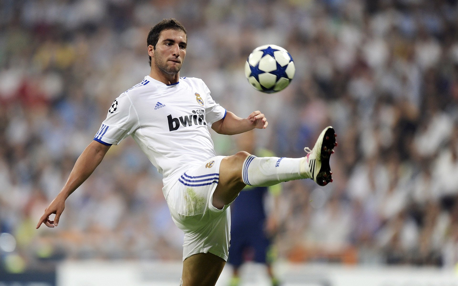 英格兰男队备战世界杯目标明确，英格兰国家队世界杯